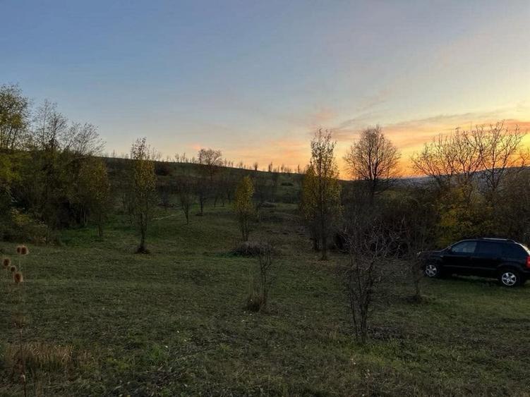 Teren de 19500 mp, în Aluniș