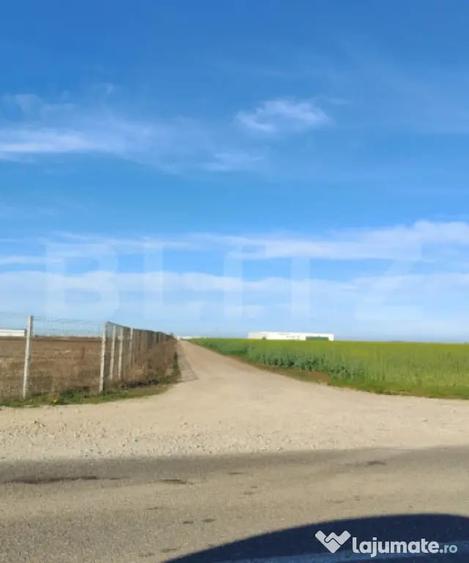 Teren de 59000 mp, în Ariceștii Rahtivani