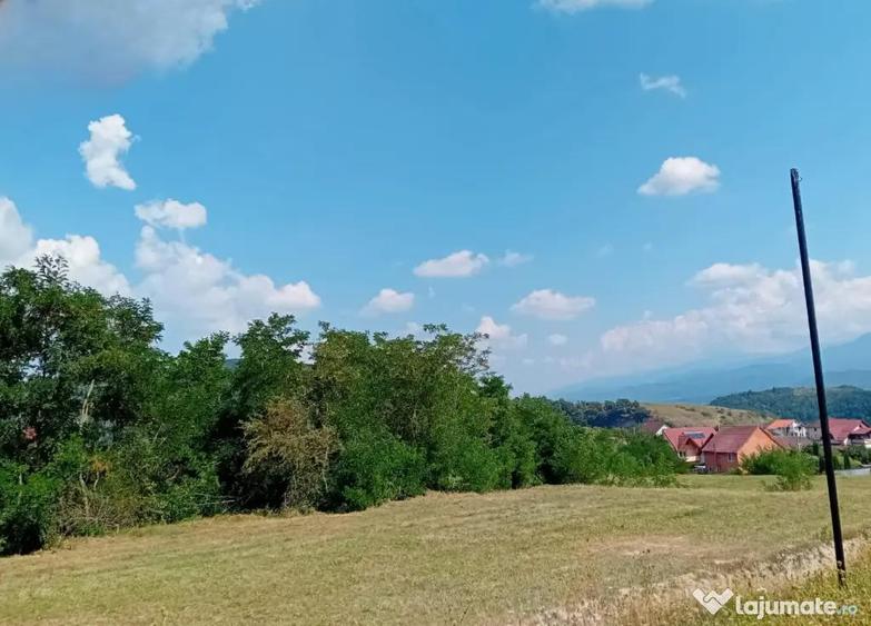 Teren de 500 mp, în Sud