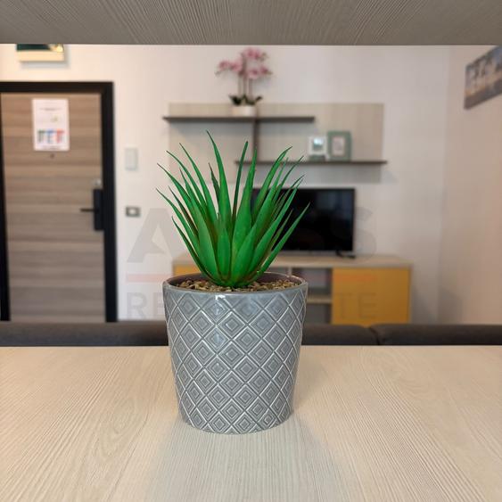 Apartament cu 2 camere decomandat, mobilat în Mamaia-Sat