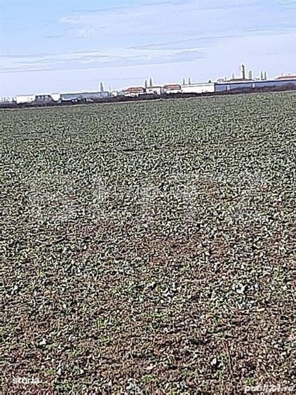 Teren cu suprafata de 2,6 ha, zona Aeroport