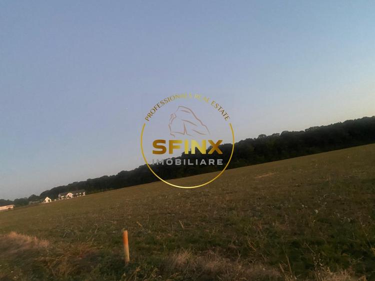 Teren Construcții intravilan de 10000 mp, în Ciolpani