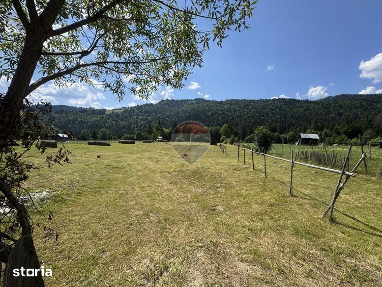 Teren de 2802 mp, în Borca