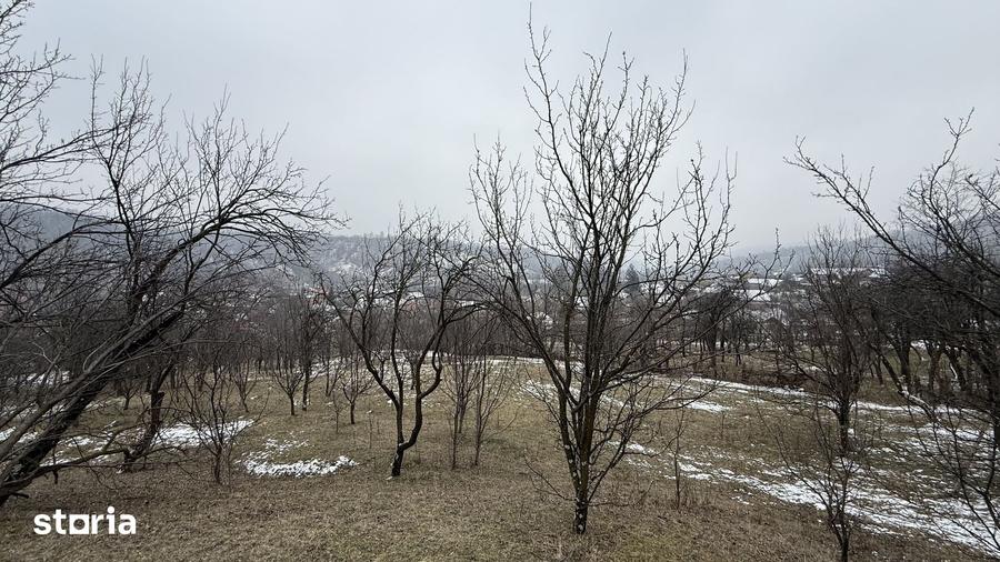 Teren de 4652 mp, în Șotrile