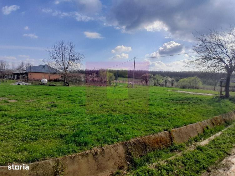 Spațiu comercial, în Buturugeni