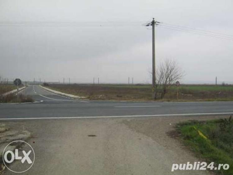 Teren de 15000 mp, în Tișița