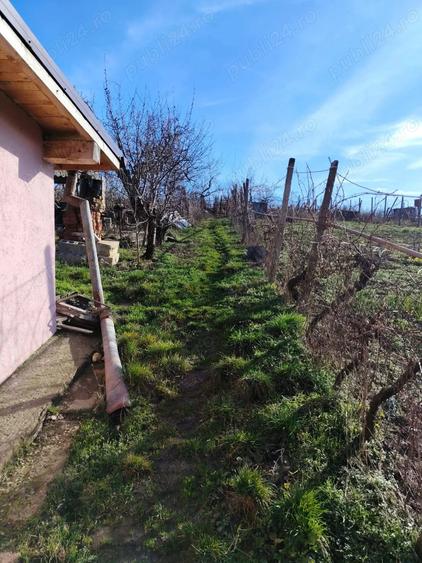 De vanzare casa 3 camere,strada Adevarului,Oradea - 4