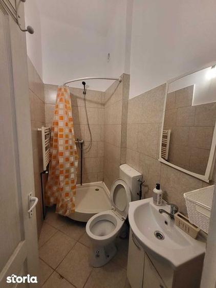 Apartament de inchiriat cu o camera River Towers Tudor cu loc de par - 4