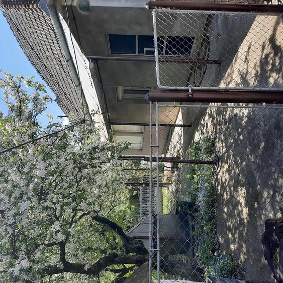 Casă cu 3 camere cu Teren 1350 Mp în Sărmașu