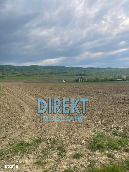 Teren de 7600 mp, în Șieu