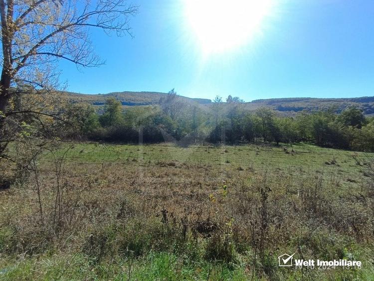 Teren agricol extravilan de 2250 mp, în Vultureni