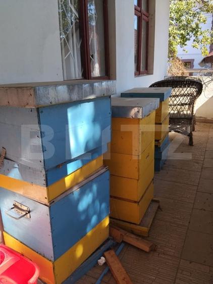 Casă individuală cu 3 camere cu Teren 3600 Mp în Teiș