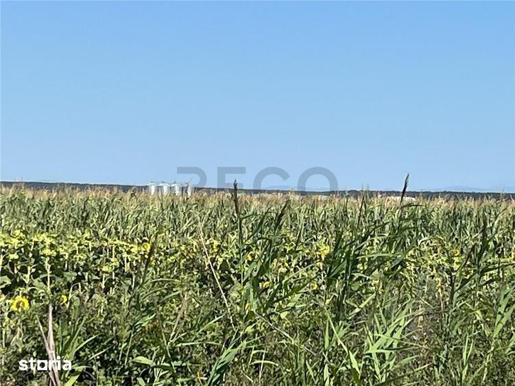 Teren de 18100 mp, în Tulca