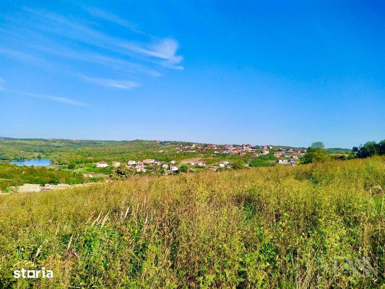 Teren de 11050 mp, în Paleu