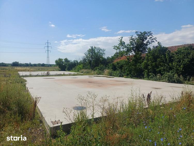 Teren de 5000 mp, în Industrială