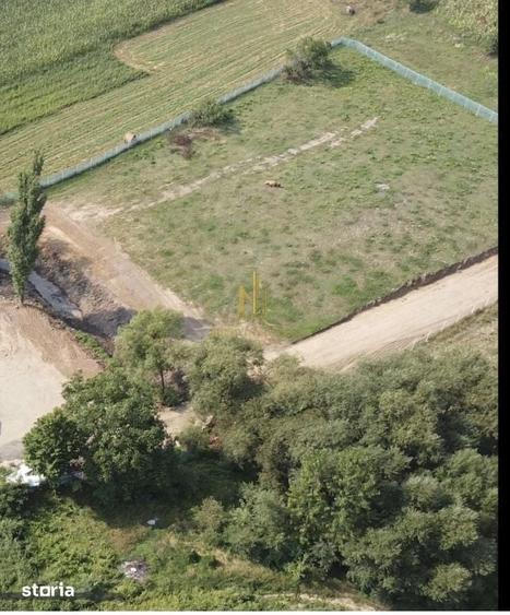 Teren de 4200 mp, în Adâncata