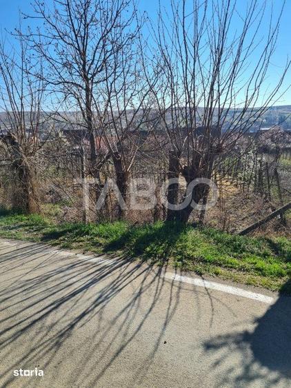 Casă cu 5 camere cu Teren 1400 Mp în Cut