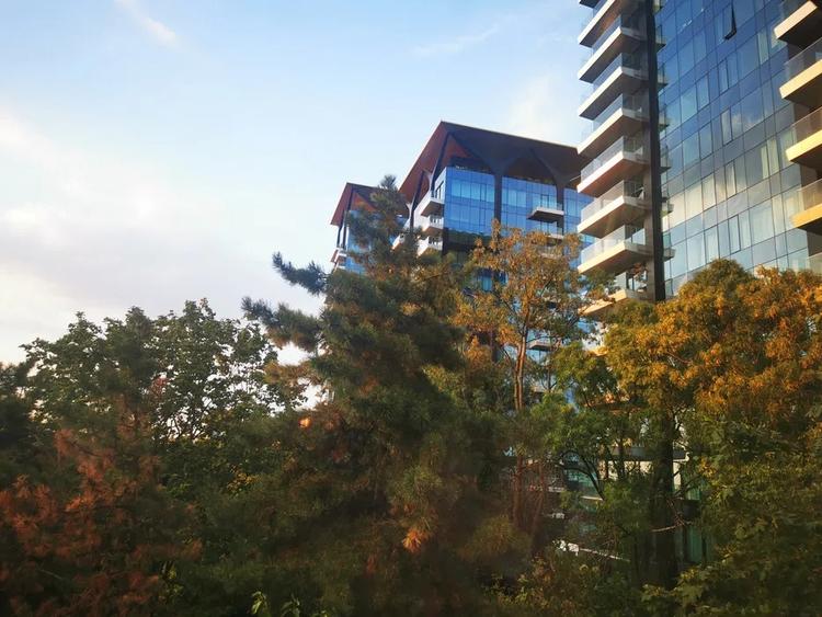 Apartament cu 3 camere semidecomandat, mobilat în Dorobanți