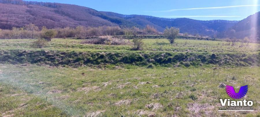 Teren agricol extravilan de 1500 mp, în Poplaca