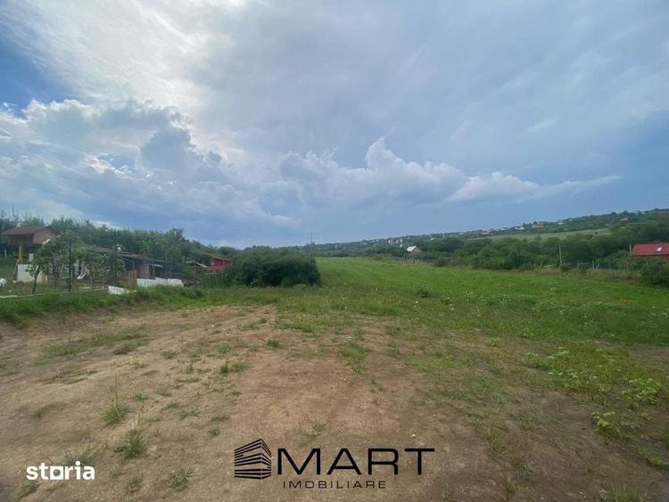 Teren de 8000 mp, în Roșia