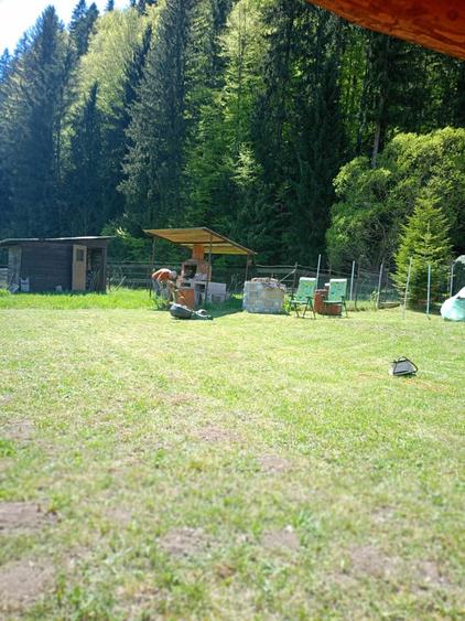 Casă cu 3 camere în Lepșa