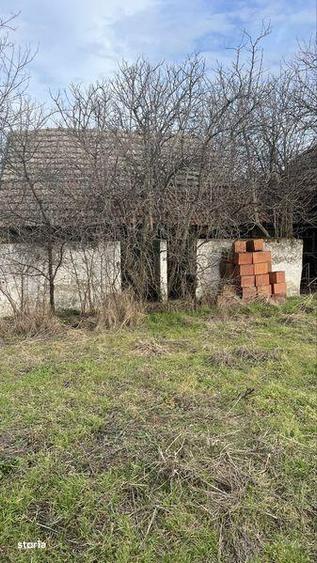Teren de 8934 mp, în Foeni