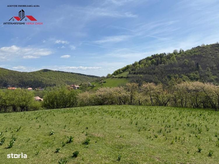 Spațiu comercial, în Valea Vințului