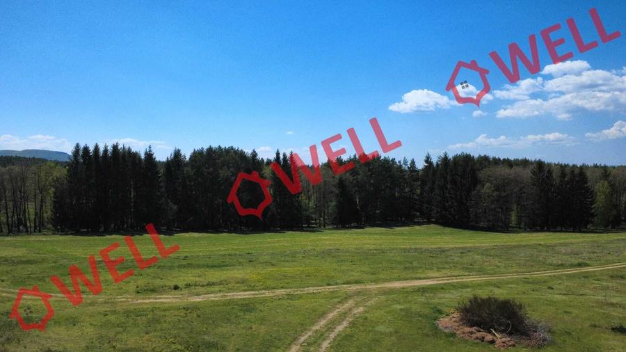 Teren agricol extravilan de 2900 mp, în Reci