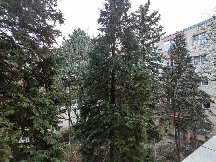 Apartament cu 4 camere decomandat în Zorilor
