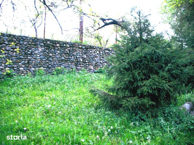 Teren de 14000 mp, în Mihai Viteazu