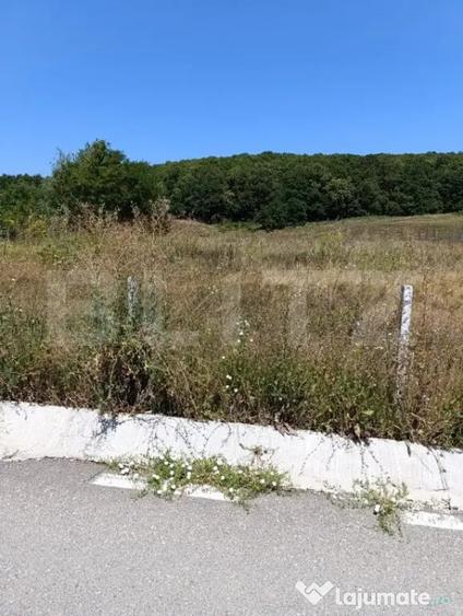Teren 10200mp , toate utilitatile , la 10 km de DEJ - 2