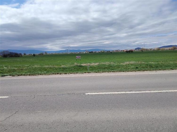 Teren agricol extravilan de 5550 mp, în Sud