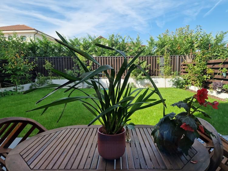Duplex cu 5 camere cu Canalizare în Borhanci