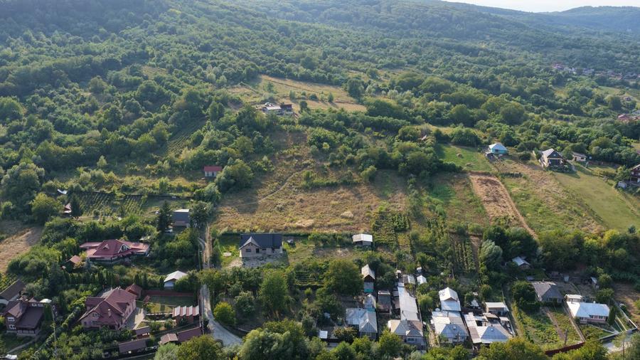 Teren Construcții intravilan de 8000 mp, în Gârlenii de Sus