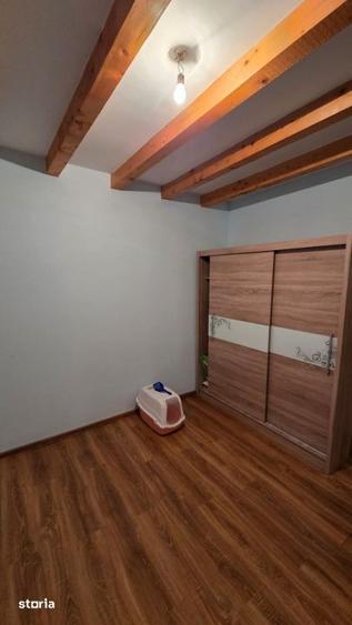 Casa cu teren generos si potential investitional Apa - 3