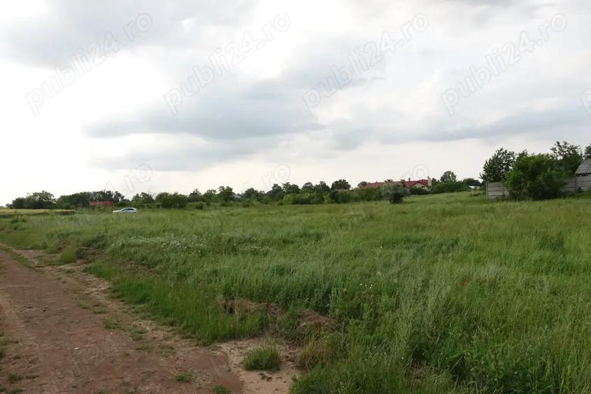 Teren de 10100 mp, în Tâncăbești