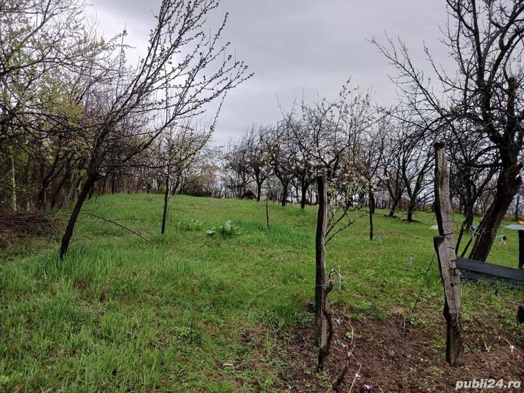 Teren de 1250 mp, în Păulești