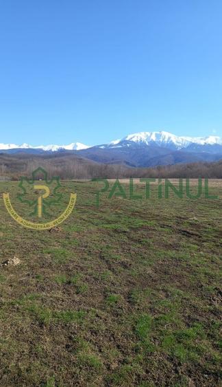 Teren agricol extravilan de 1737 mp, în Racovița