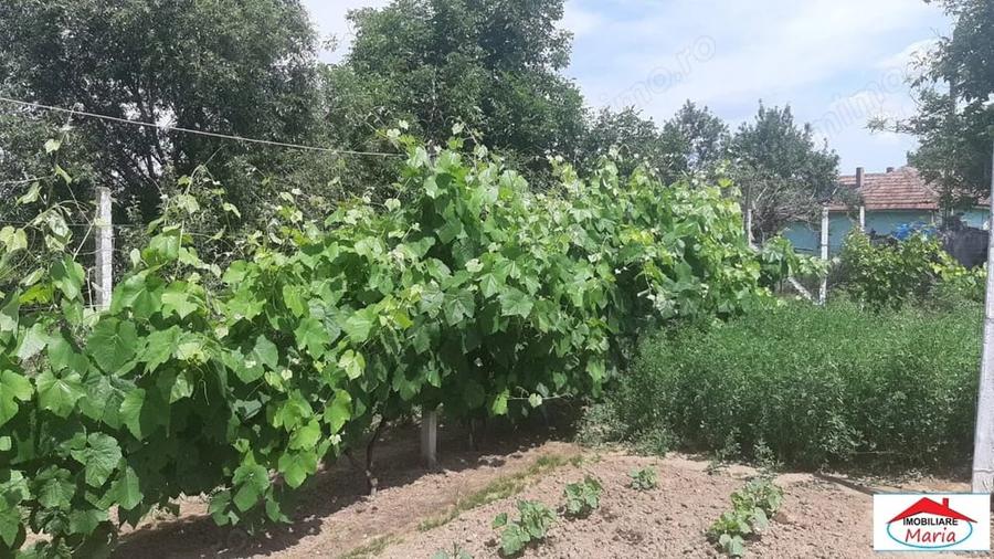 Casă cu 2 camere în Beltiug