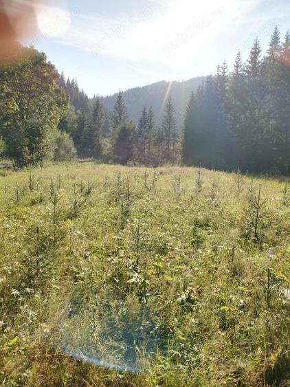 Teren de 3800 mp, în Capu Corbului
