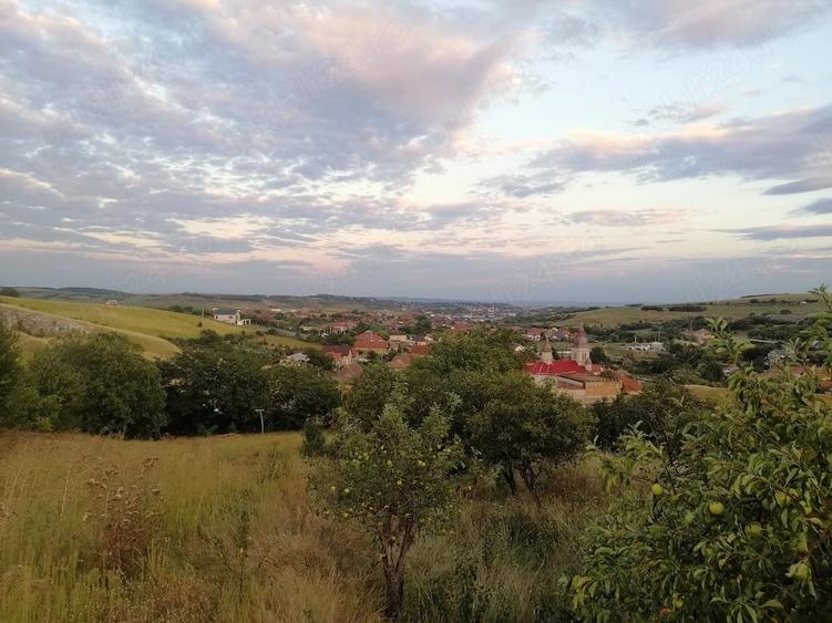Casă cu Teren 2000 Mp în Copăceni