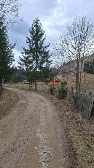 Teren de 716 mp, în Poiana Teiului