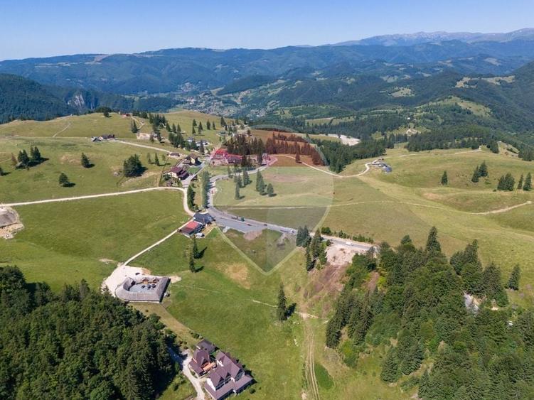 Teren agricol extravilan de 52519 mp, în Dâmbovicioara