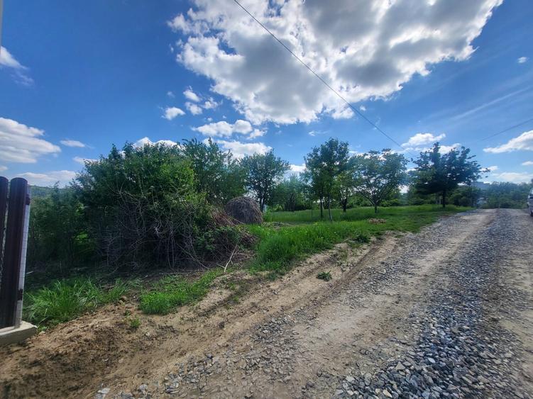 Teren Construcții intravilan de 900 mp, în Bârnova