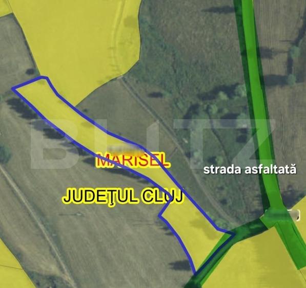 Teren Construcții extravilan de 3269 mp, în Mărișel
