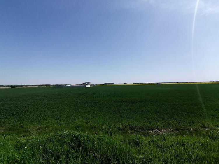 Teren agricol intravilan de 9313 mp, în 1 Decembrie