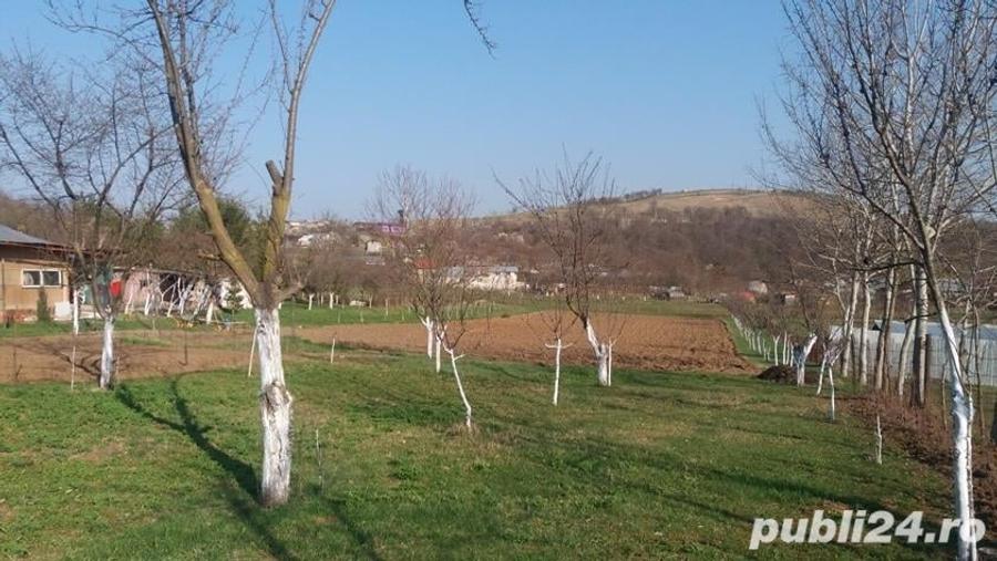 Teren de 2200 mp, în Central
