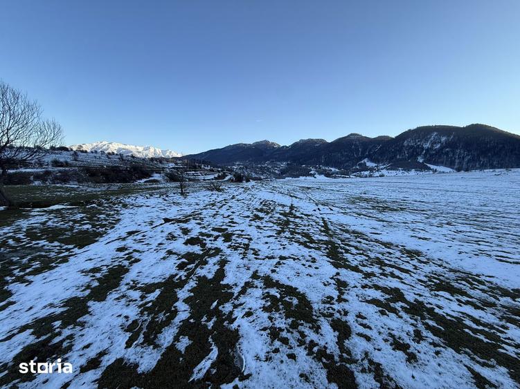 Teren intravilan 667 mp in Zarnesti zona Grui pentru casa - 6