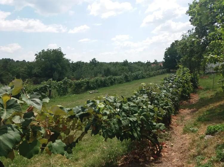 Casă cu 3 camere în Sud