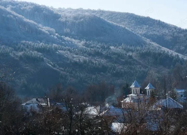 Teren de 17000 mp, în Nucșoara
